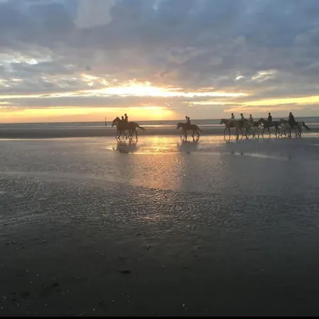 Zen Aan Zee Apartman